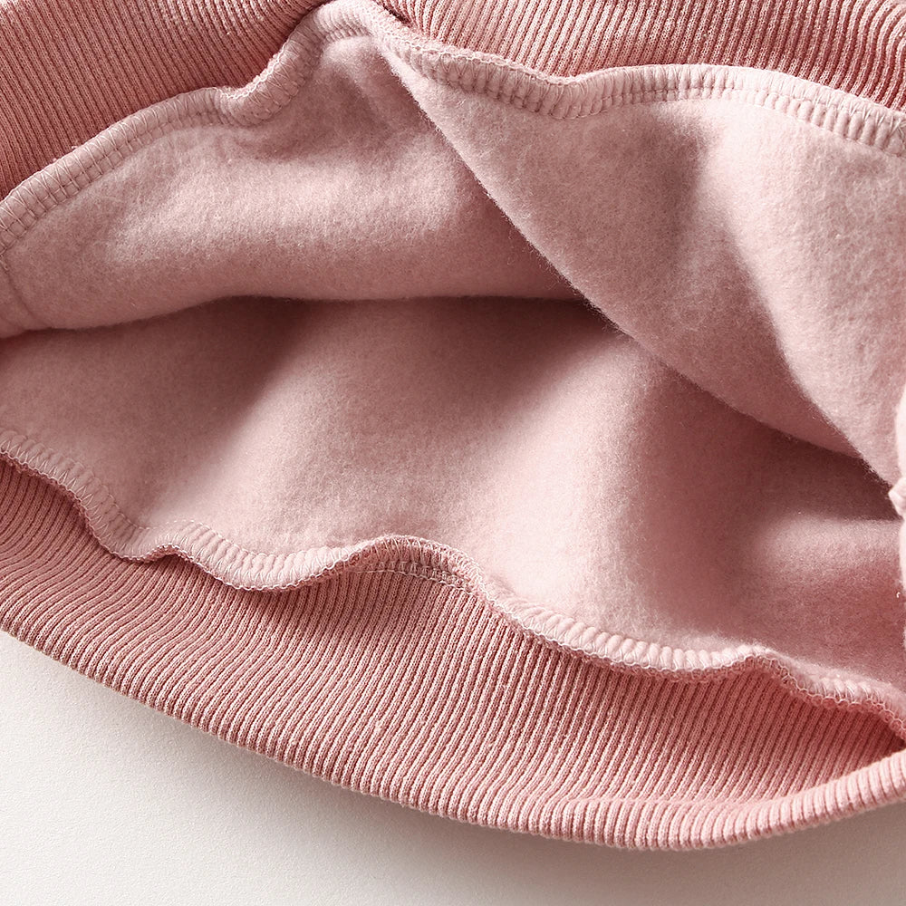 2Pcs Spring Winter Baby Girl Boy Clothes Set Embroidery Thicken Fleece Warm Sweatshirt Pant Boy Tracksuit Toddler Clothes Outfit
