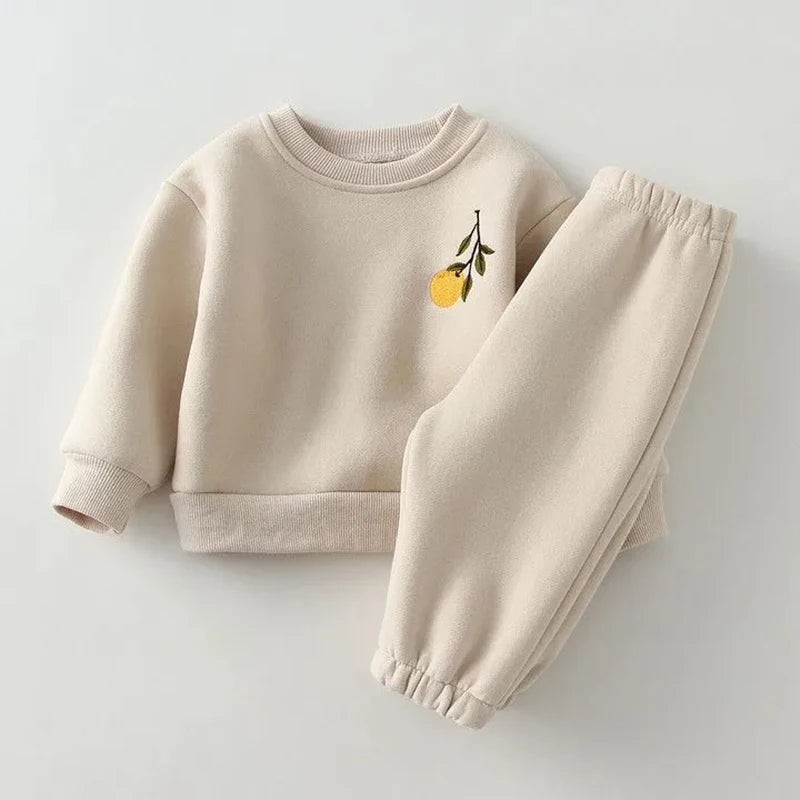 2Pcs Spring Winter Baby Girl Boy Clothes Set Embroidery Thicken Fleece Warm Sweatshirt Pant Boy Tracksuit Toddler Clothes Outfit